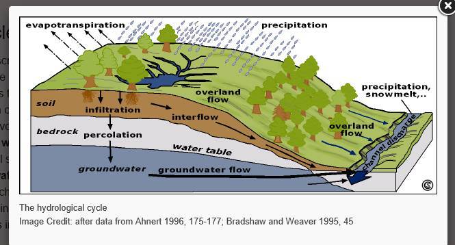 Soil Infiltration