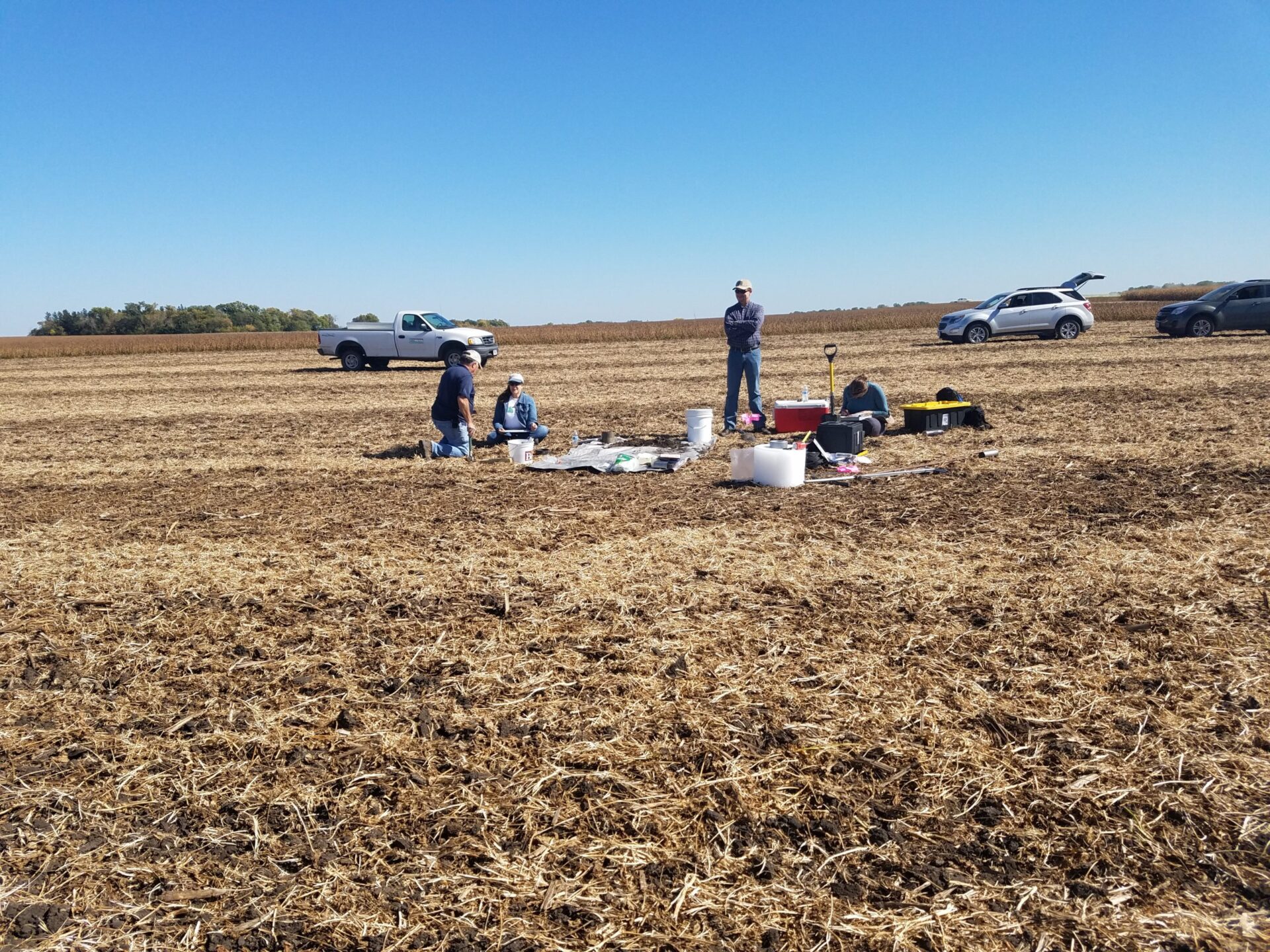 members at a field day