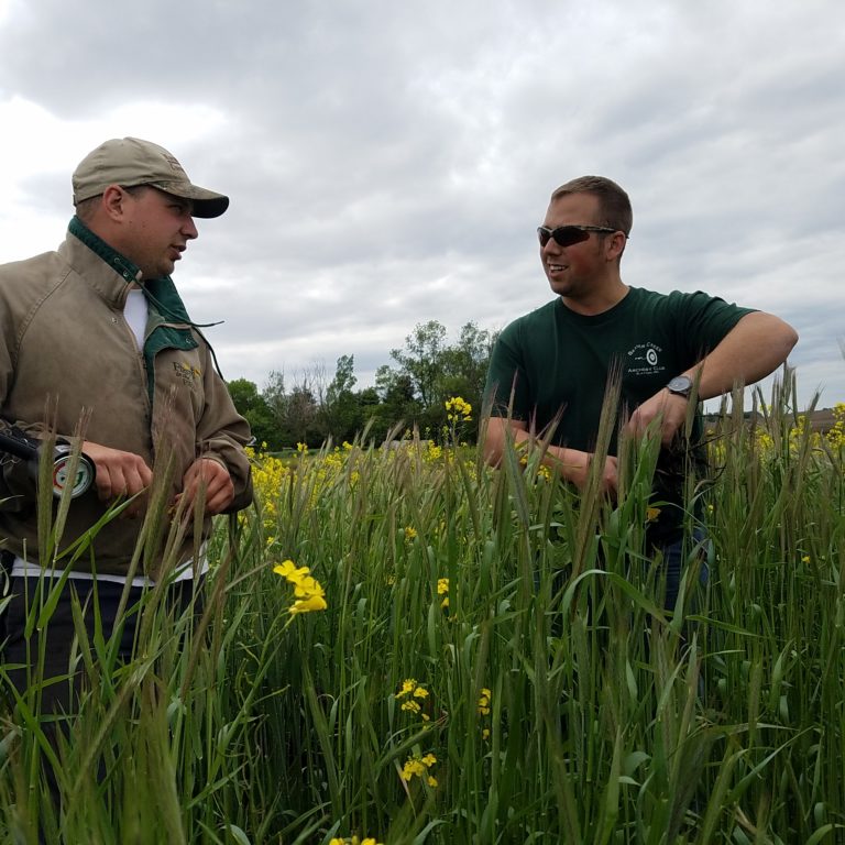 Two men in a field