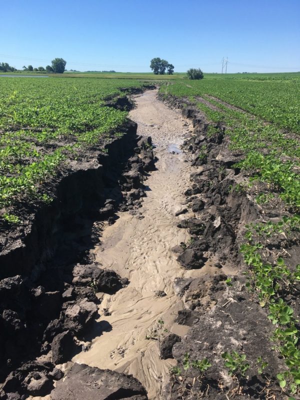 Technical Information - MN Soil Health Coalition