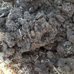 Noncompacted soils