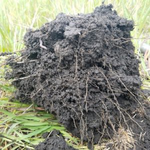 Soil Structure