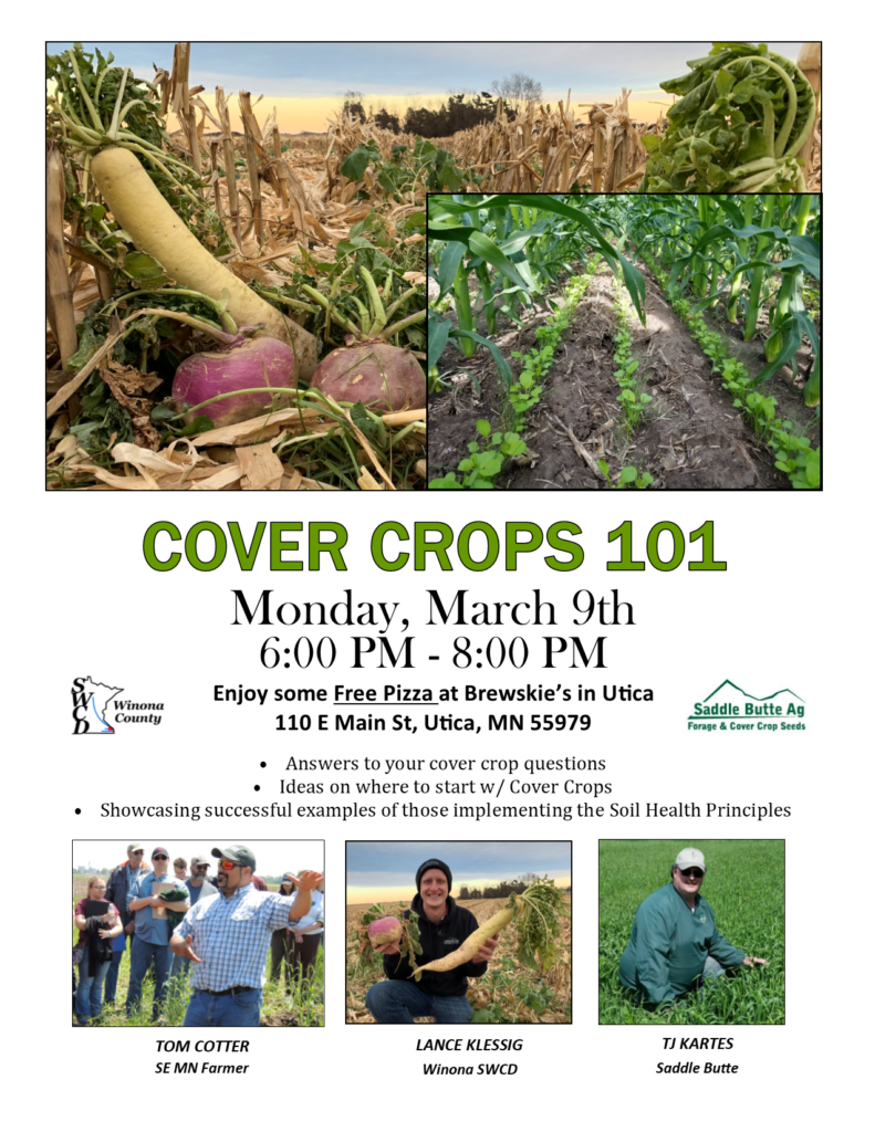 Cover Crops 101 - MN Soil Health Coalition